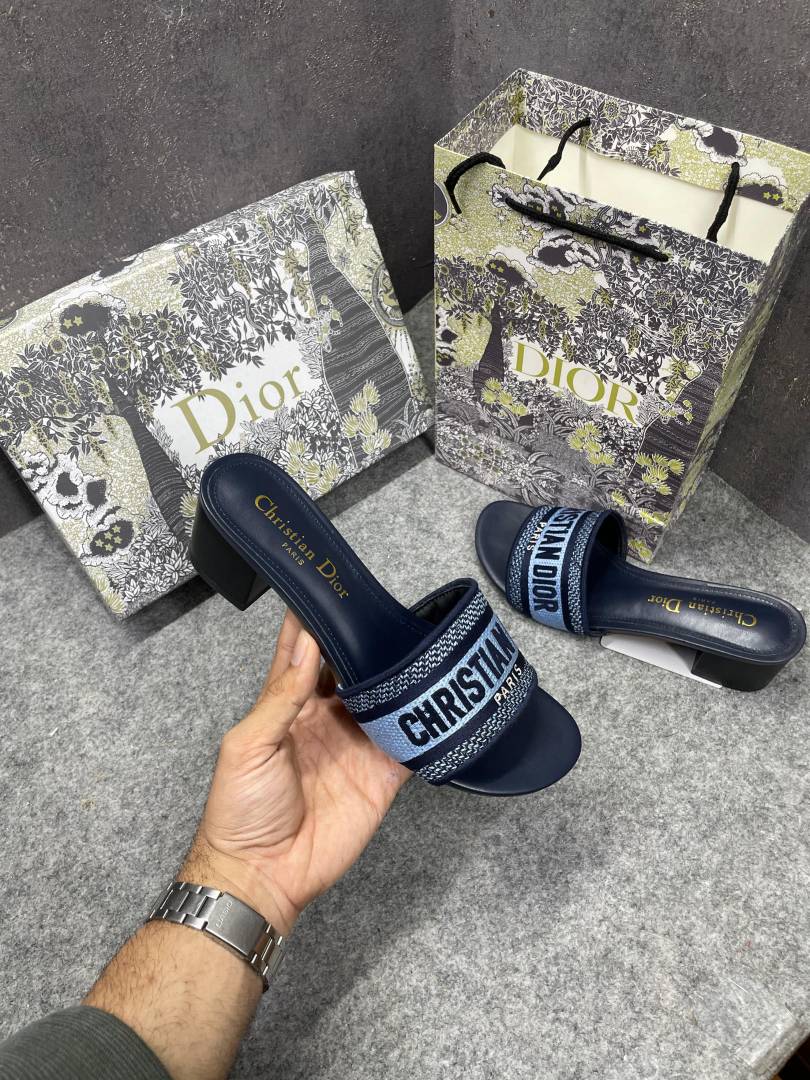 Christiaan Dioor Dway heeled Slides SIGNATURE CD Paris Embroidery With OG Box & Carry Bag 1407-1 Blue