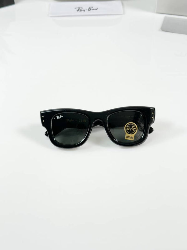 Ray-Ban Puffer 4940 Shine Black GLASS