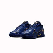 Nike LeBron 22 Monopoly Deep Royal Blue