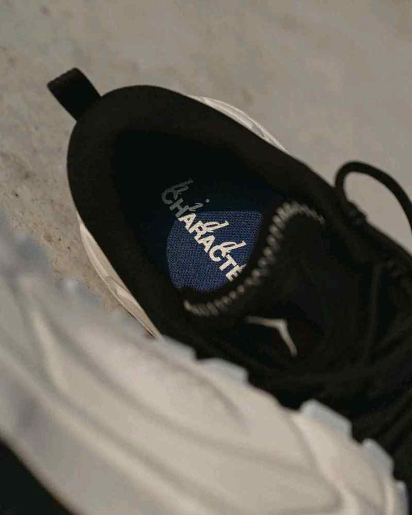 Hidden Character X HOKA Tor Summit White Black 177