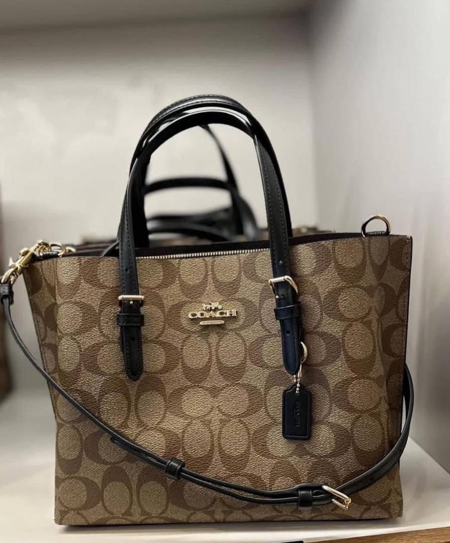 Coach_Mollie_25_Tote_Premium_With_OriginalBox_DustCover