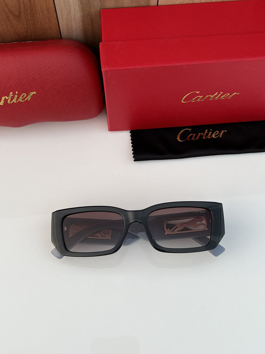 Cartier_fiber_small_grey