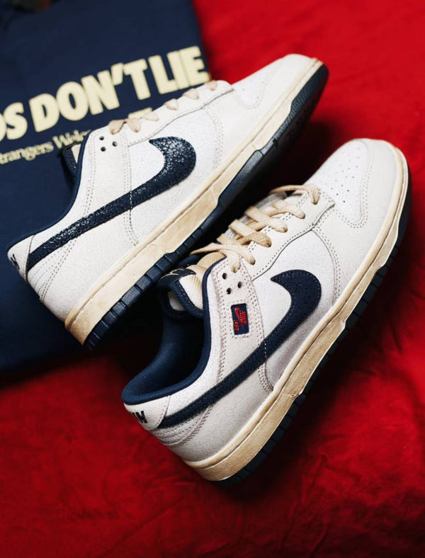 The Stranger Things X Nikke SB Dunk