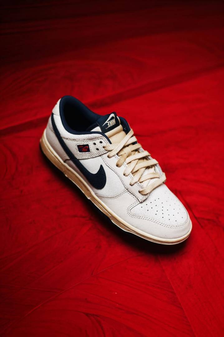 The Stranger Things X Nikke SB Dunk