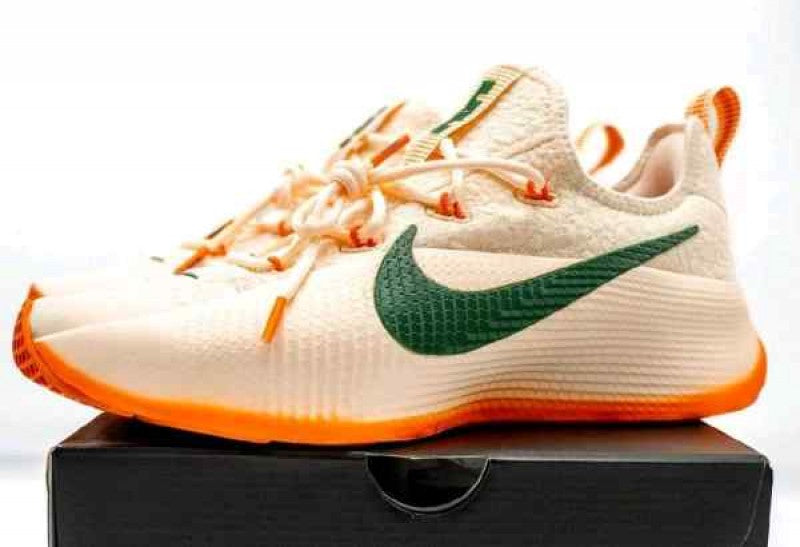 Nike honors famu lebron tr1