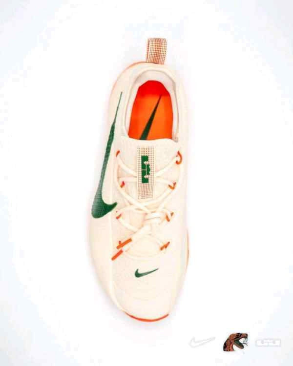 Nike honors famu lebron tr1