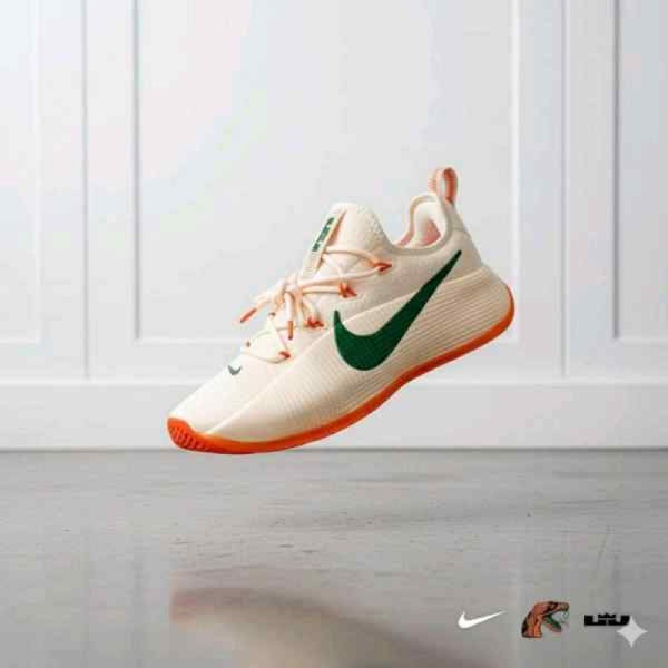 Nike honors famu lebron tr1