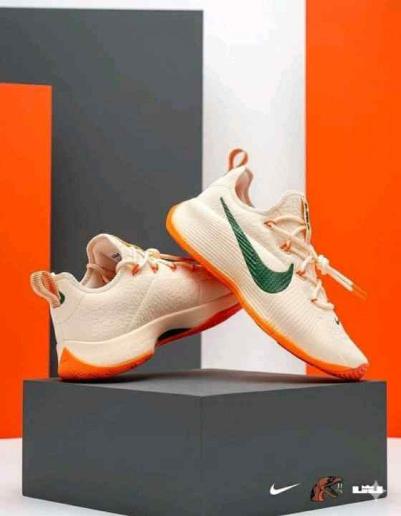 Nike honors famu lebron tr1