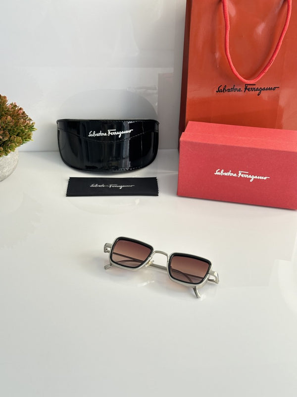 Salvatore Feragamo_3919_Silver_Brown_Dc