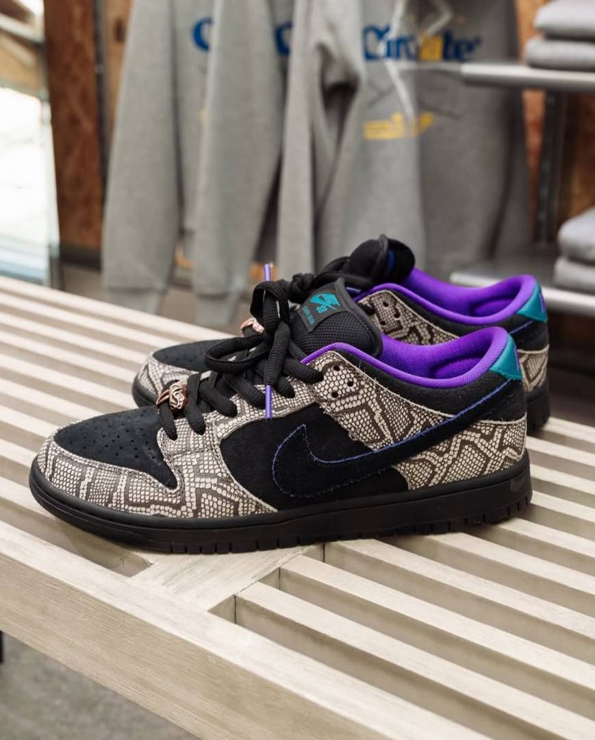 Sb Dunk Low PRO x Dashawn Jordan 700