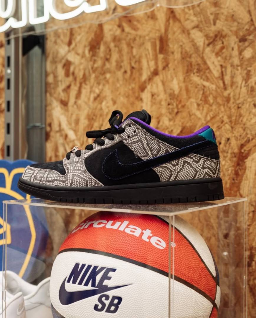 Sb Dunk Low PRO x Dashawn Jordan 700