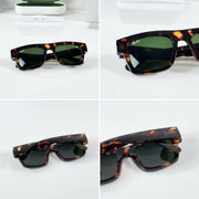 Ray-Ban 4415 Tiger Green GLASS