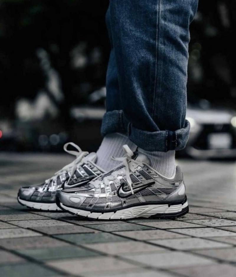 Nike P 6000 Metallic Silver 673