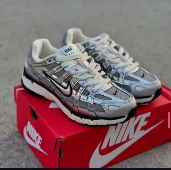 Nike P 6000 Metallic Silver 673