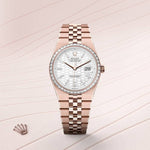 Rolex Oyster Perpetual Land Dweller