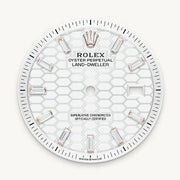 Rolex Oyster Perpetual Land Dweller