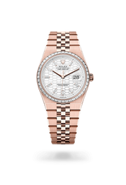 Rolex Oyster Perpetual Land Dweller