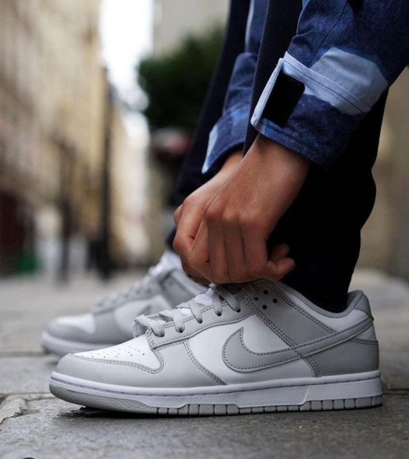 Nike SB Dunk Fog Grey--