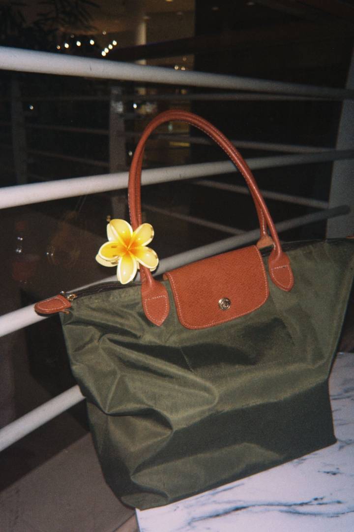 Longchamp le pliage size M With Brand ZipLock Bag