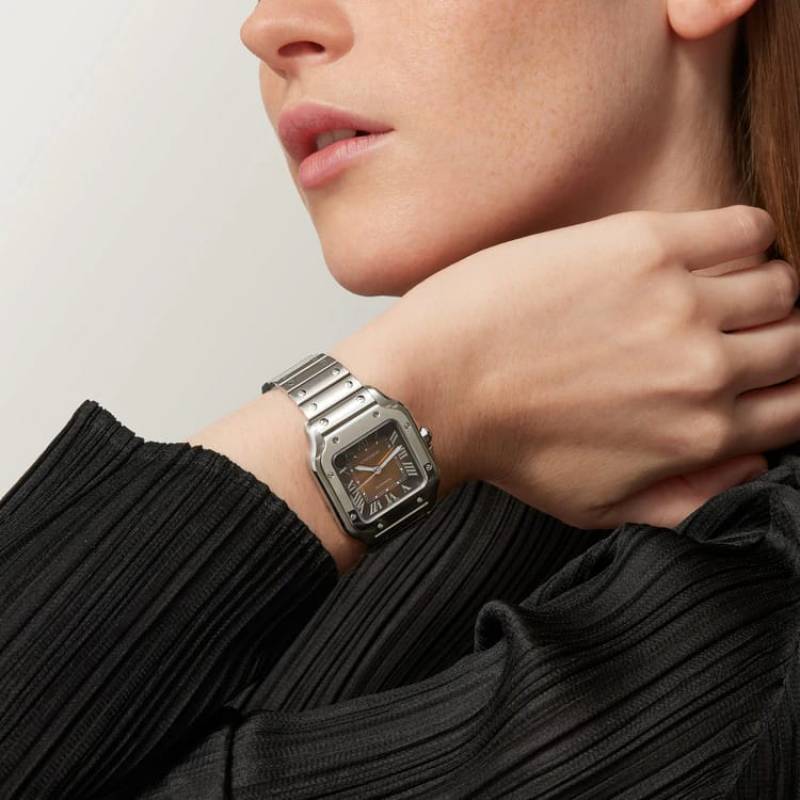 Cartier Santos Automatic silver brown