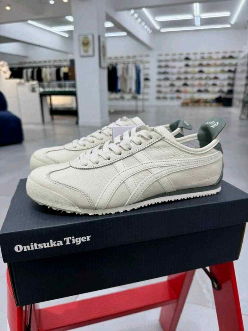 Mexico All Cream Grey Sage 384