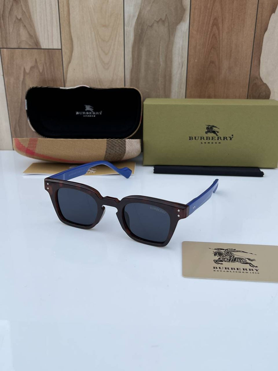 Burberry_2001_brown_blue
