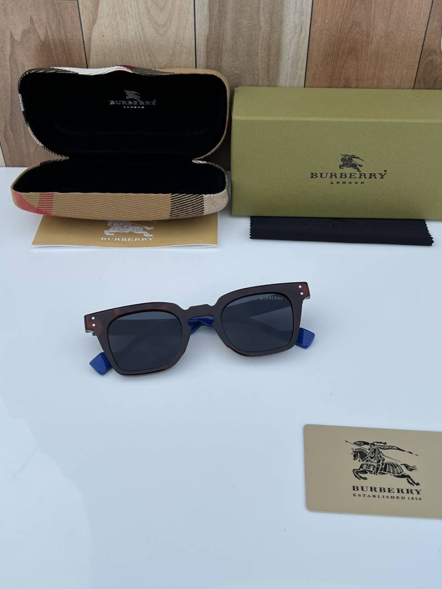Burberry_2001_brown_blue