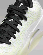 Nike Air Jordan Zion 3 No Guts