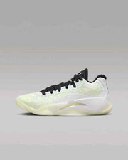 Nike Air Jordan Zion 3 No Guts