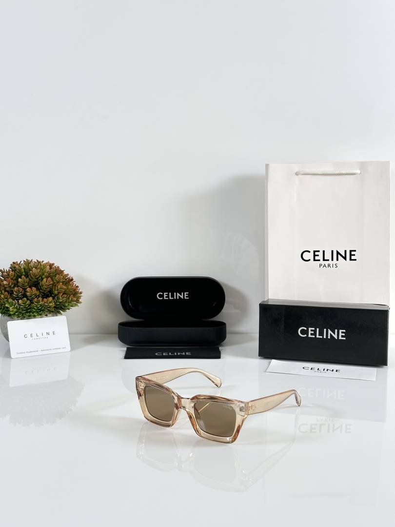 Celine WMNS 1007 Water Brown