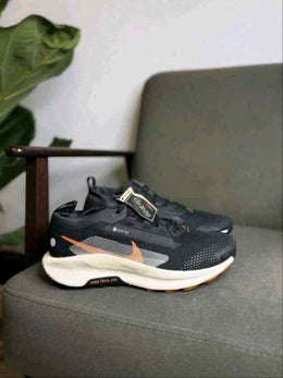 Nike Pegasus Trail 5 GTX Off Noir Black Monarch Pale Ivory