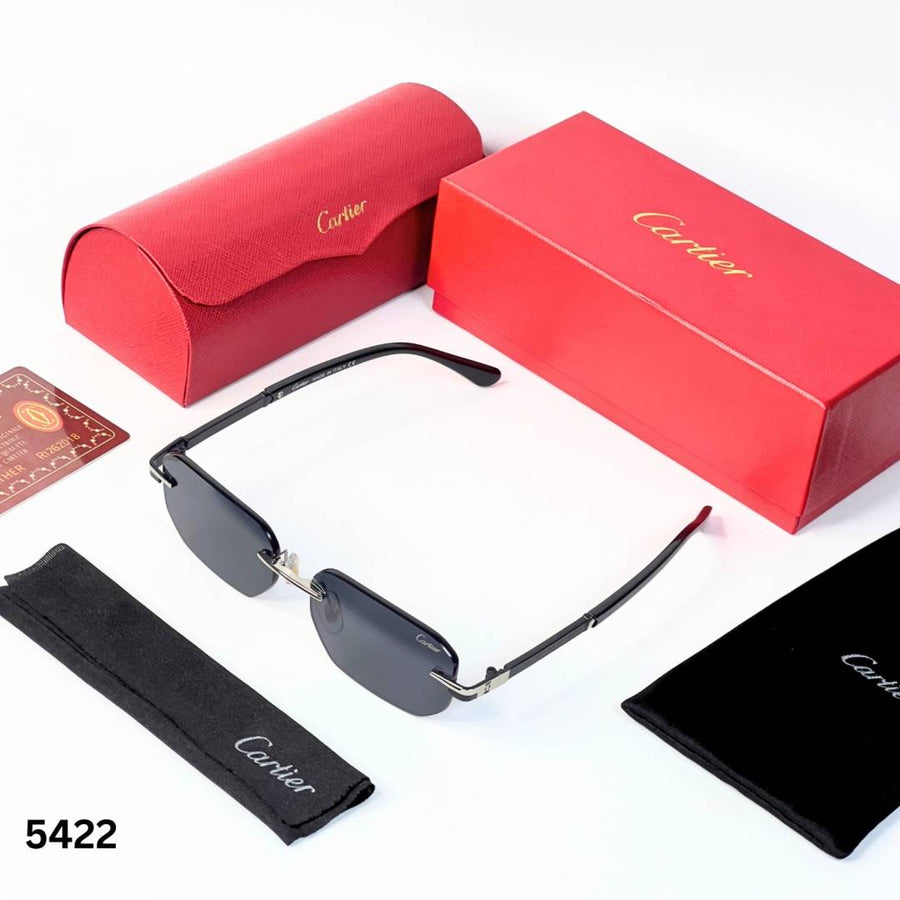 Cartier 5422 silver black