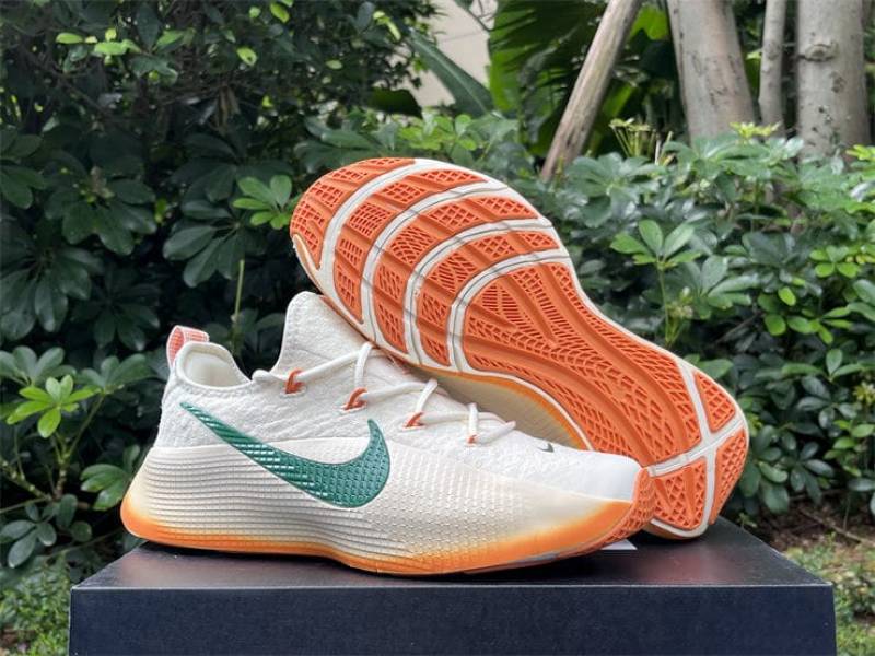 Nike Lebron TR1 Honors Famu sale