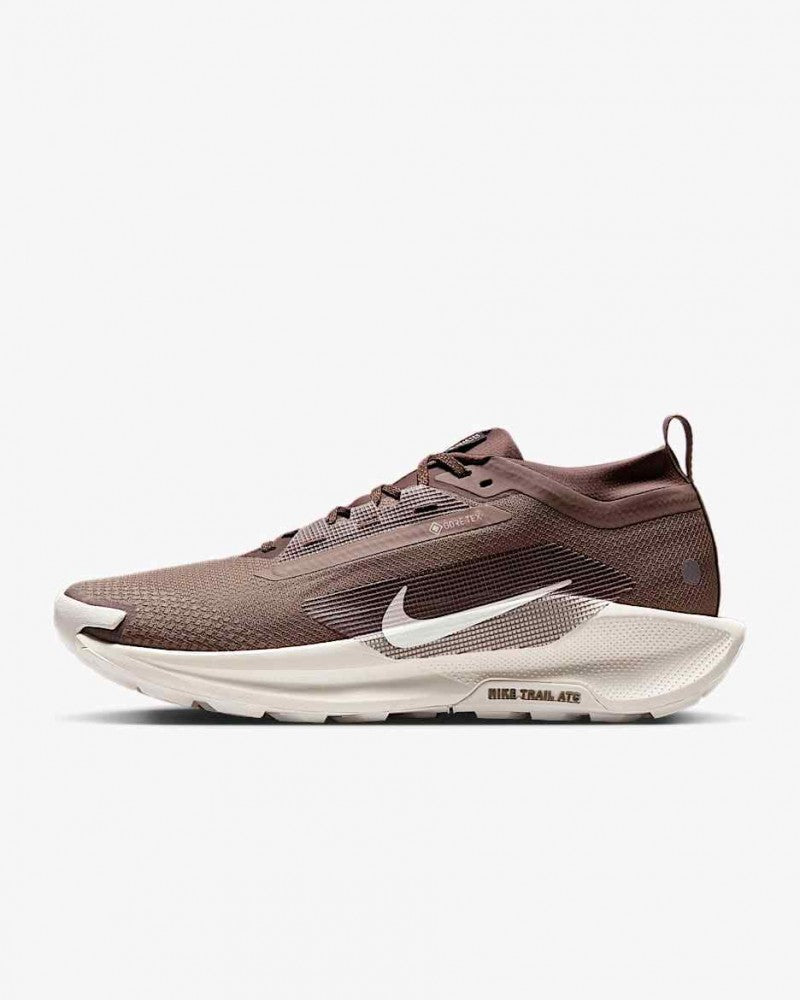 Nike Pegasus Trail 5 GORE-TEX SP
