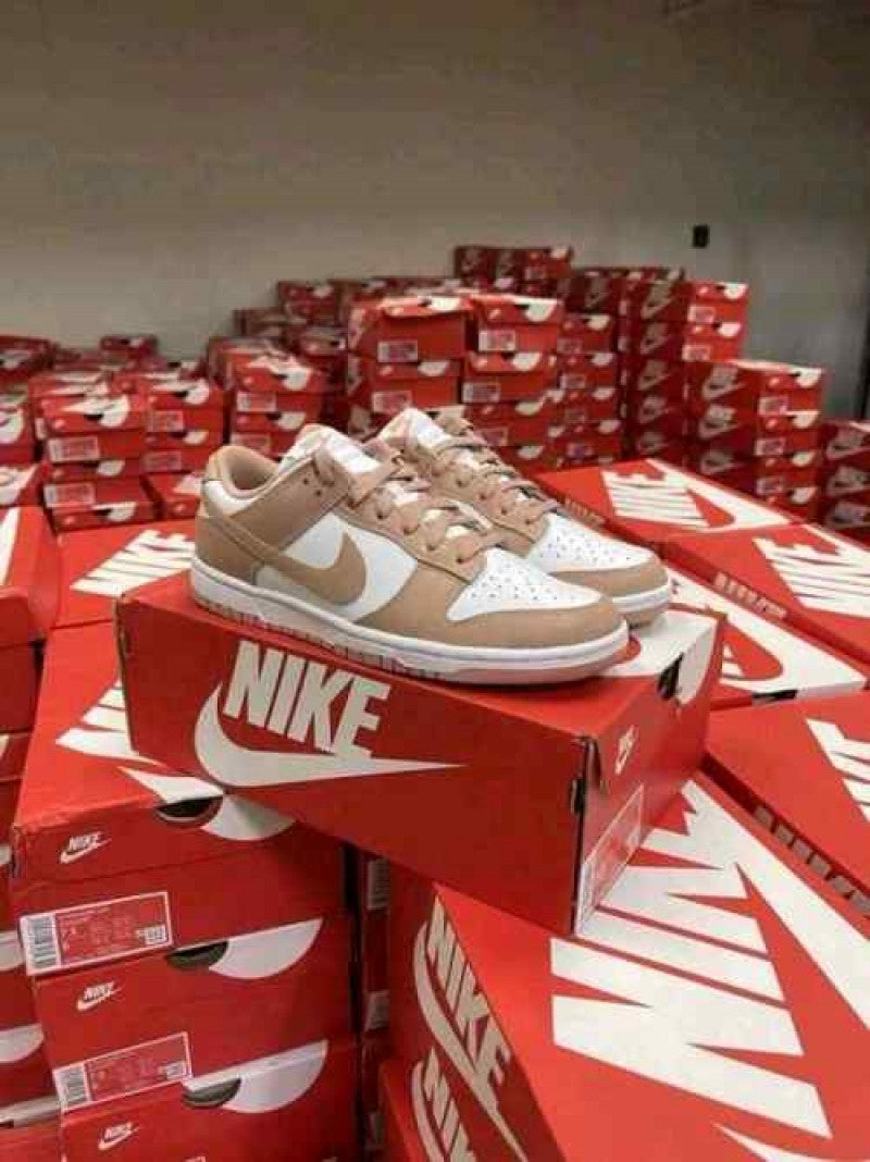 Nike Dunk Low Rose Whisper 681