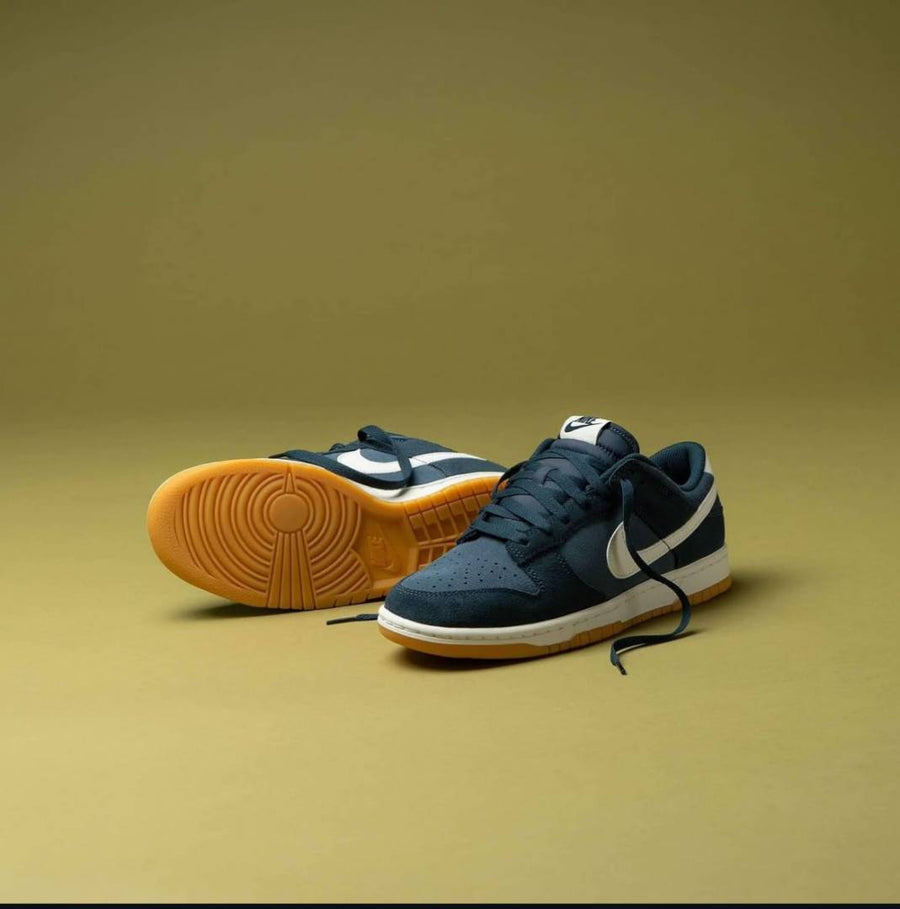 Nike Sb Dunk Low Monsoon Blue