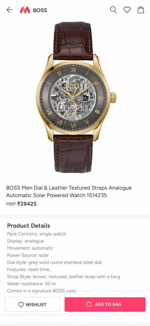 BOSS Principle Skeleton Mens Automatic Brown gold