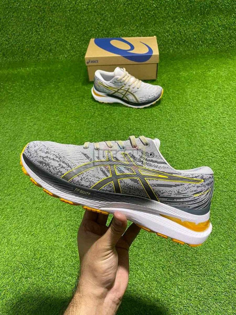 Asiccss. Gel-Kayano 29